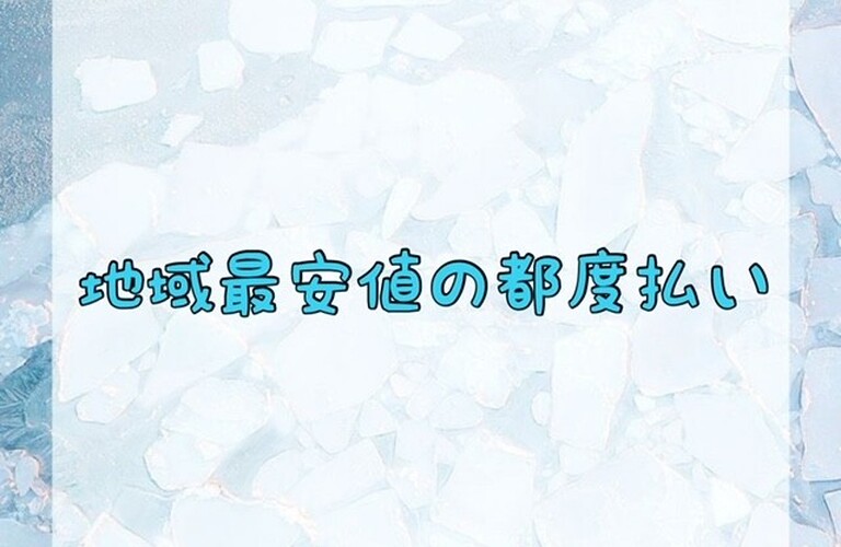 【地域最安値の都度払い】
