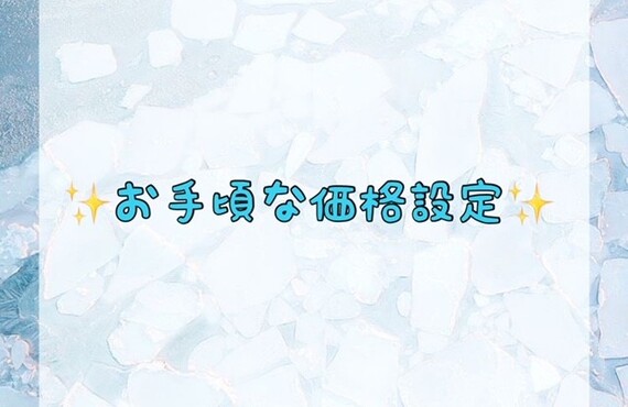 お手頃な価格設定
