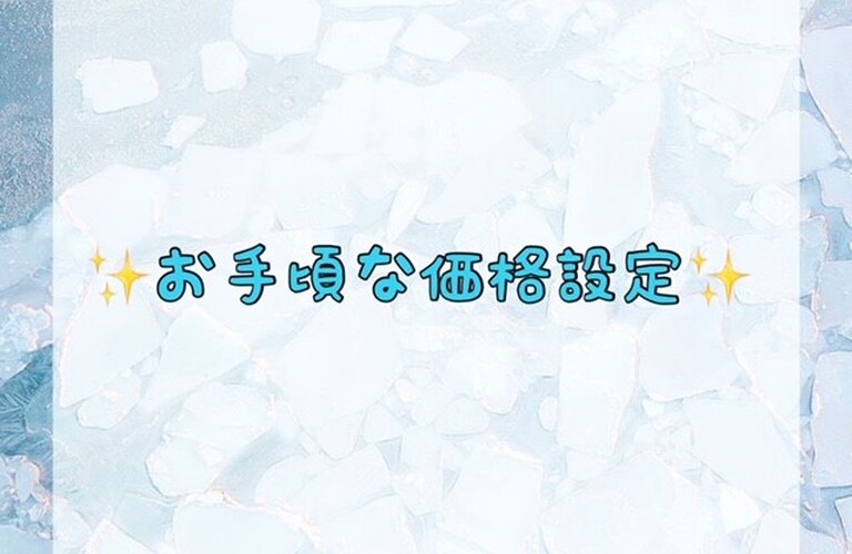 お手頃な価格設定