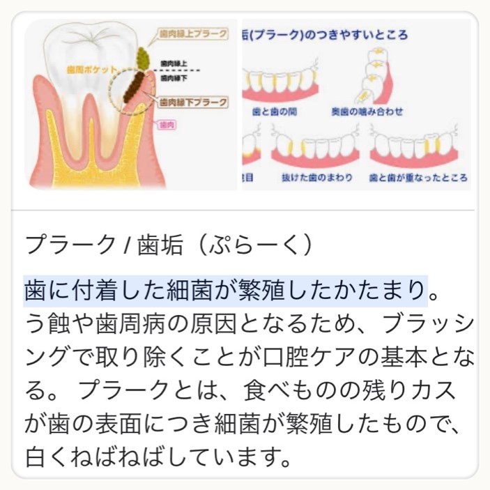 ダウンロード (7)