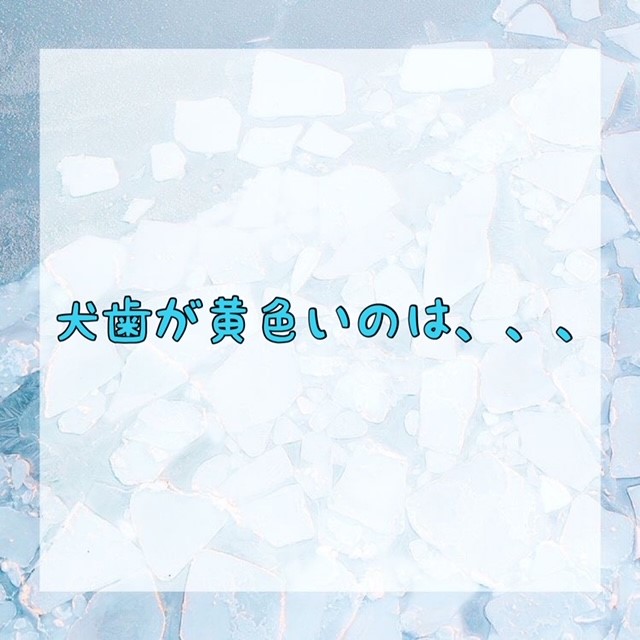 ダウンロード (10)