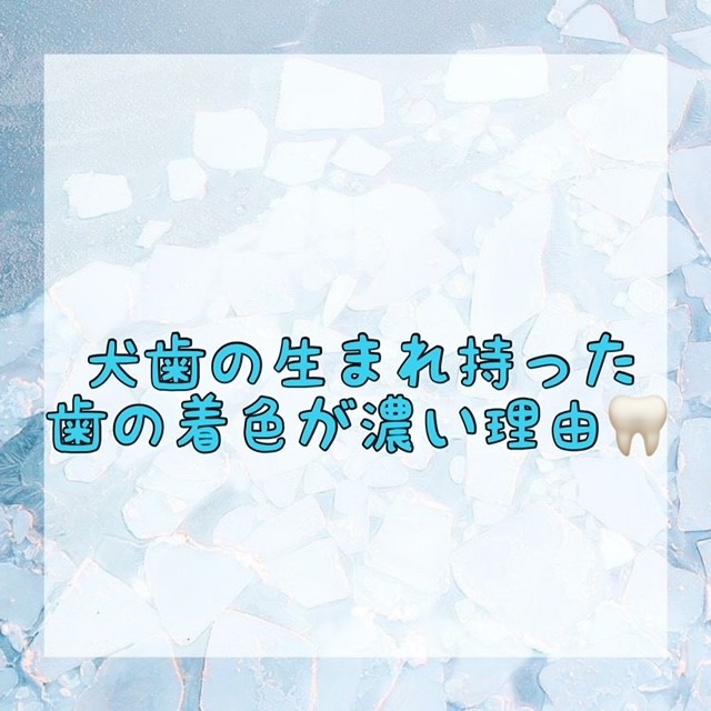 ダウンロード (10)