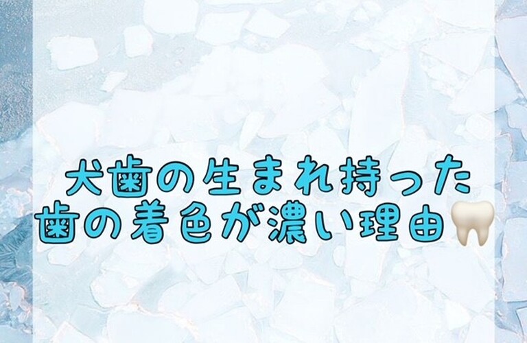 【犬歯の生まれ持った歯の着色が濃い理由】